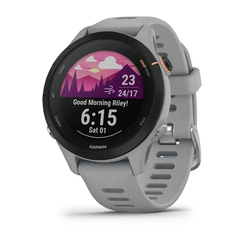 Zegarek sportowy GARMIN Forerunner 255S Szary