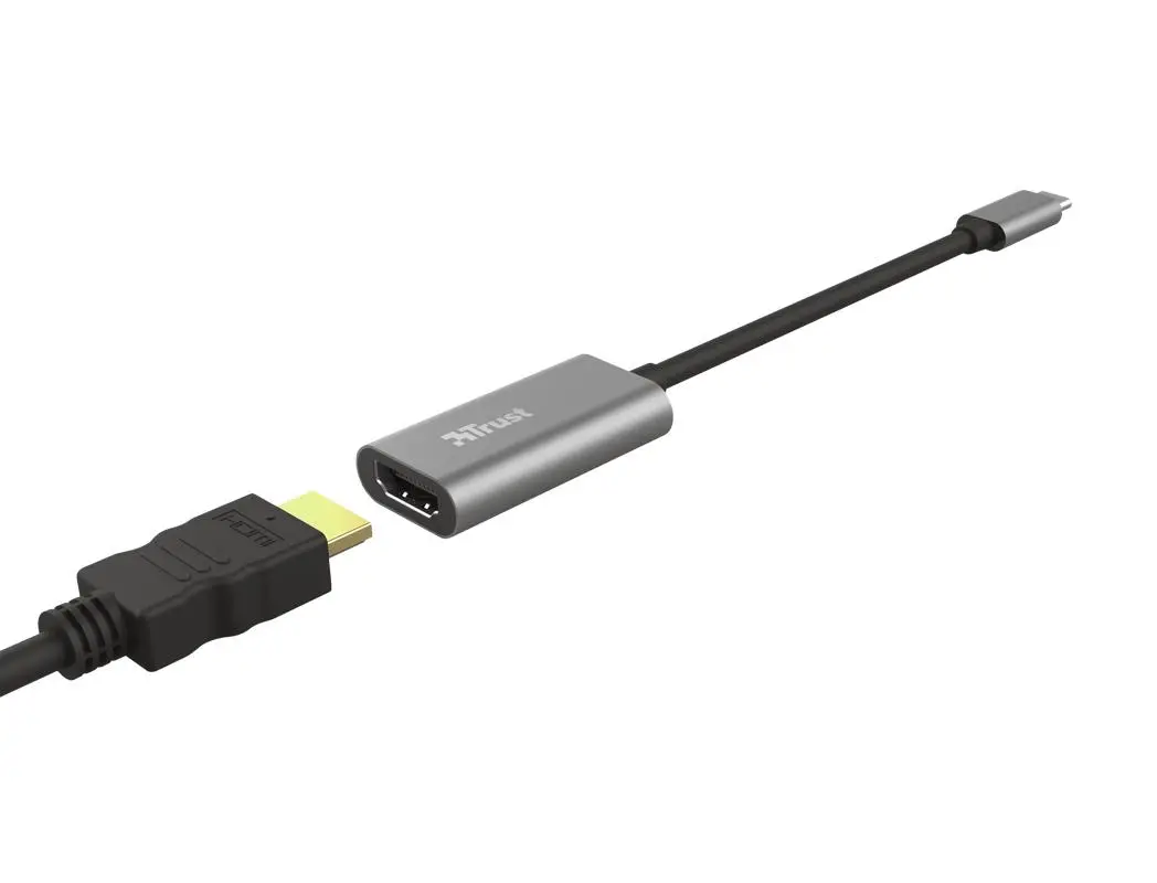 Adapter HDMI - USB Typ C Dalyx TRUST 0.1 m