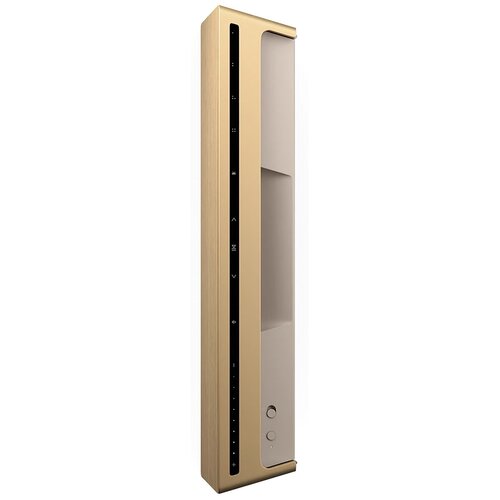 Głośnik multiroom BANG & OLUFSEN Beosound Level Złoty