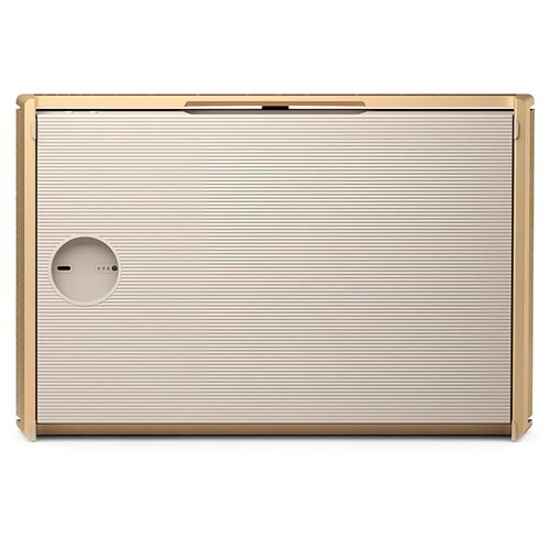 Głośnik multiroom BANG & OLUFSEN Beosound Level Złoty